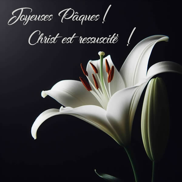 Image élégante pour les salutations religieuses de Pâques avec texte Joyeuses Pâques Le Christ est ressuscité, avec du lys blanc