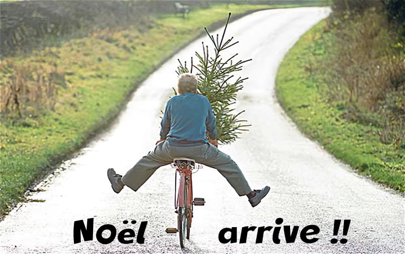 Image humoristique avec homme sur un vélo portant un sapin de Noël. Noël approche!