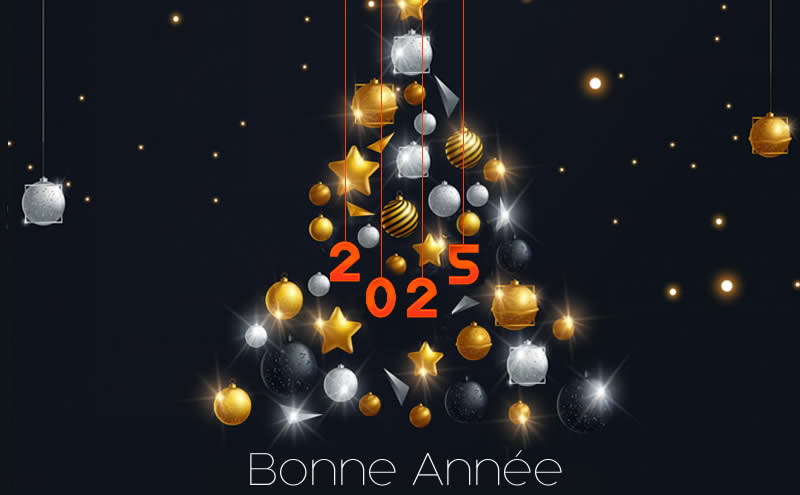 image avec sapin de Noël de style moderne avec des boules décoratives or, argent et noir et texte 2025