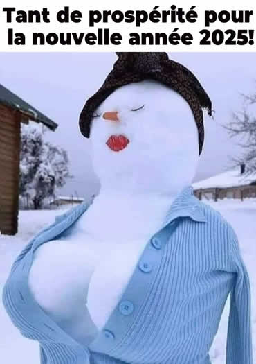 un bonhomme de neige femme drôle vraiment prospère