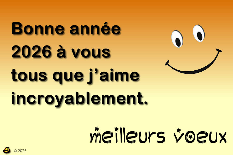 image carte voeux accueillir une nouvelle annèe 2026