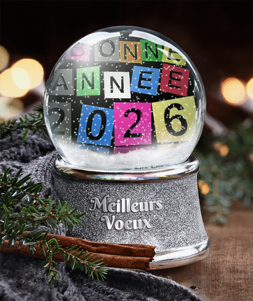 Image animée Boule de neige gif animé