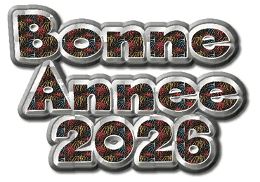 Gif animé bonne année 2026 avec feu d'artifice
