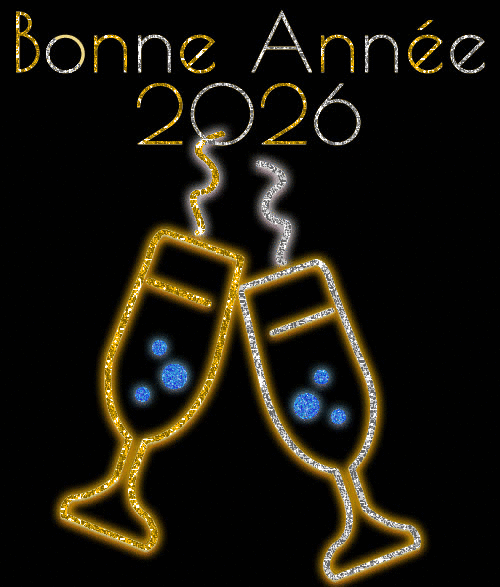 Glitters champagne Bonne Année