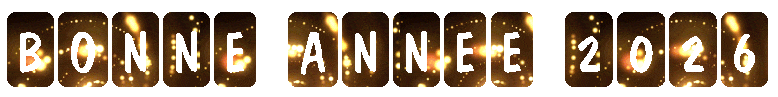 gifs animés avec feux d'artifice