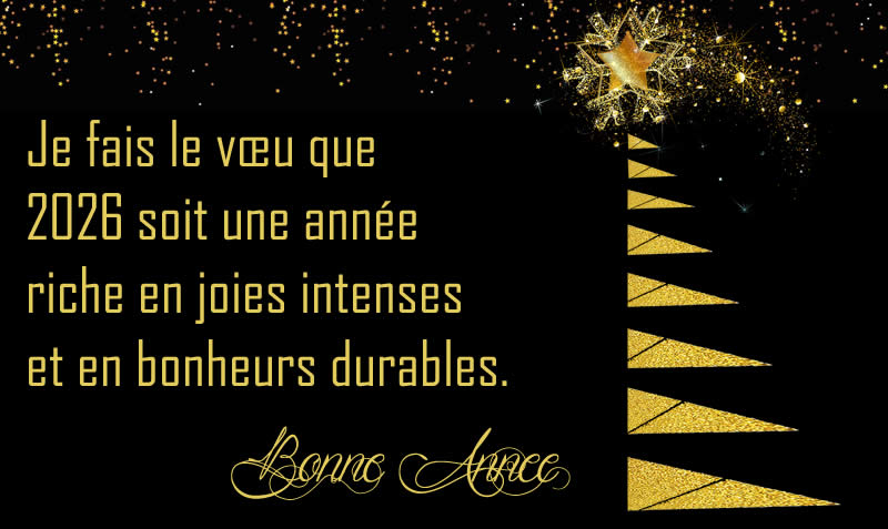 image voeux avec texte Je fais le vœu que 2026 soit une année riche en joies intenses et en bonheurs durables.