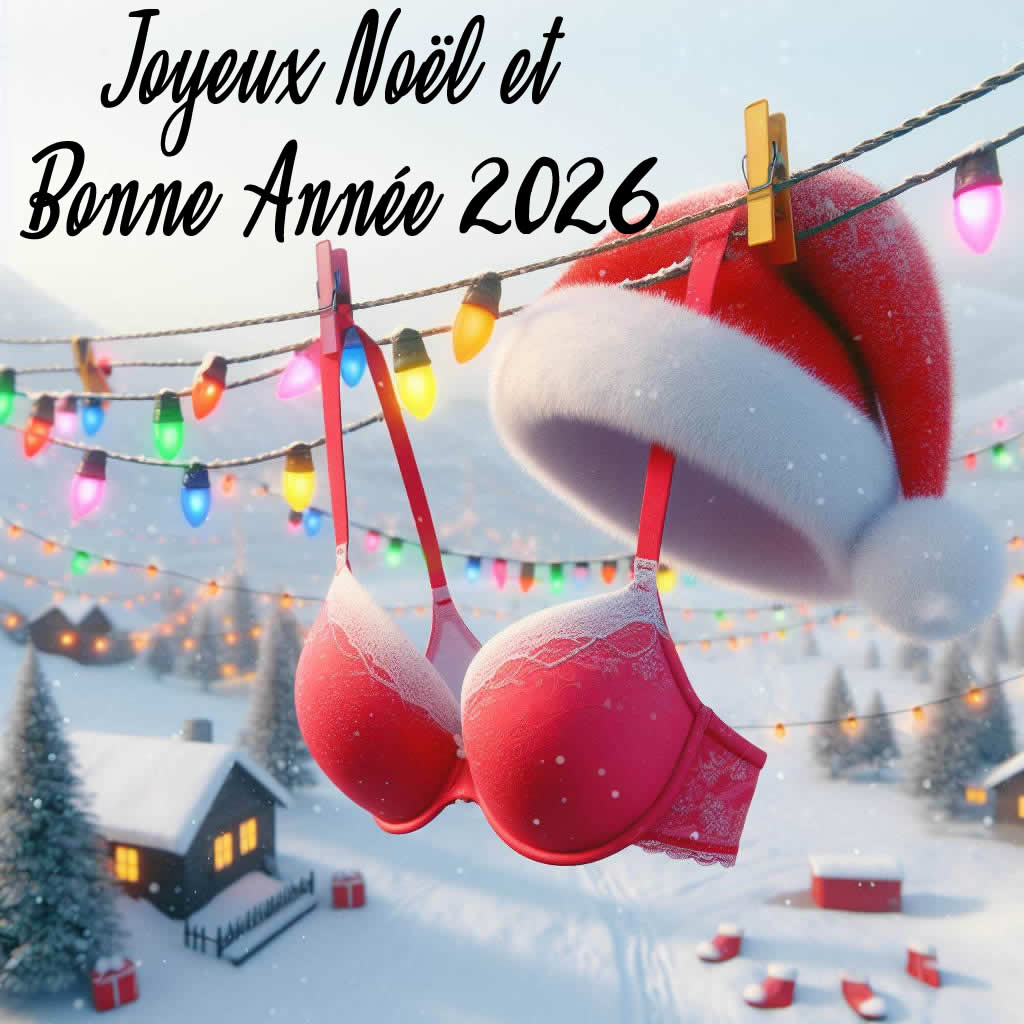 Image avec un chapeau de Père Noël et un soutien-gorge de Noël. Joyeux Noël et bonne année 2026 avec joie