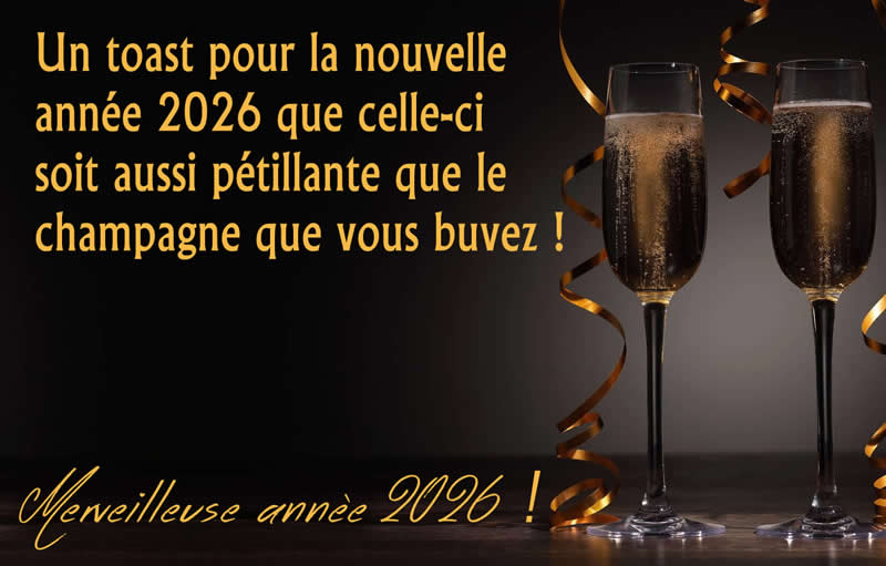 Image avec texte: Un toast pour la nouvelle année 2026que celle-ci soit aussi pétillante que le champagne que vous buvez !