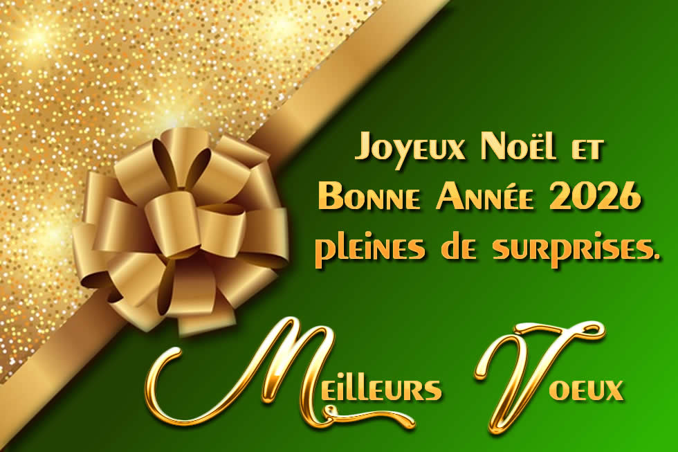 Très belle image pour les voeux de fin d'année, comme un joli cadeau de Noël avec un message: meilleurs voeux pleines de surprises.