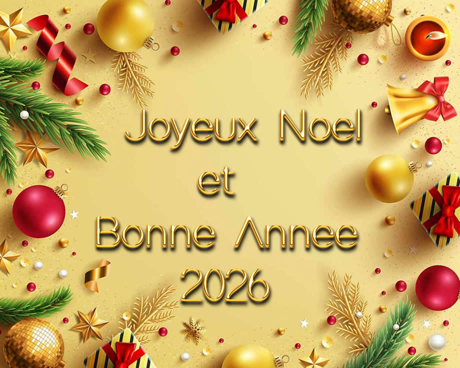 image voeux avec texte Je fais le vœu que 2027 soit une année riche en joies intenses et en bonheurs durables.