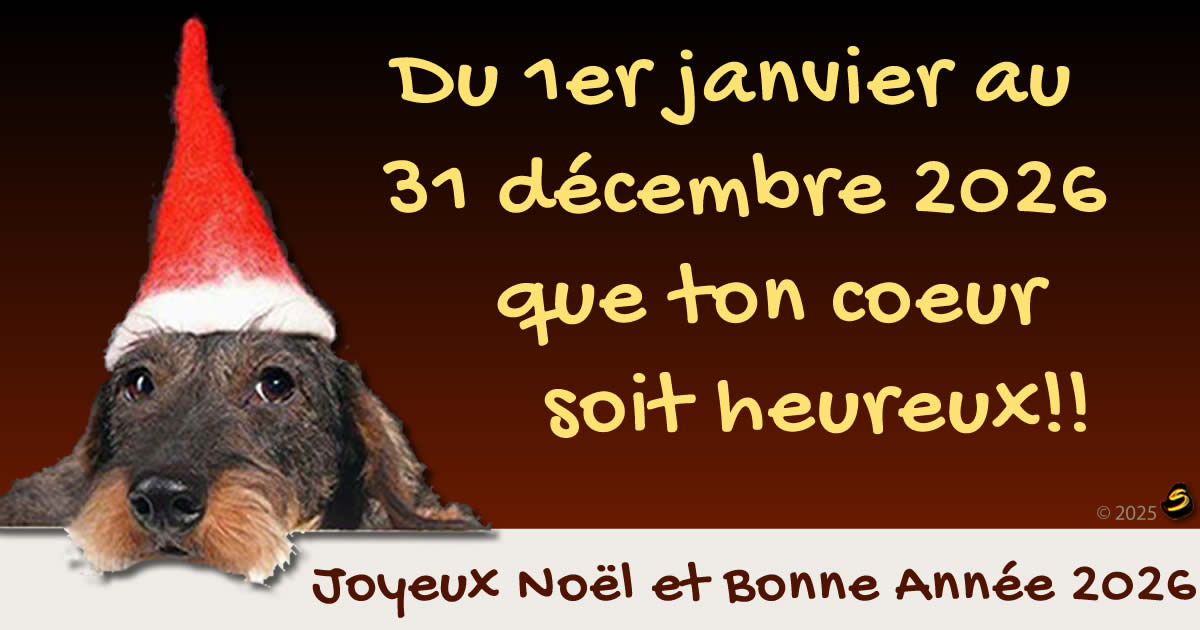 image de Noël avec chien. Du 1er janvier au 31 decembre 2026