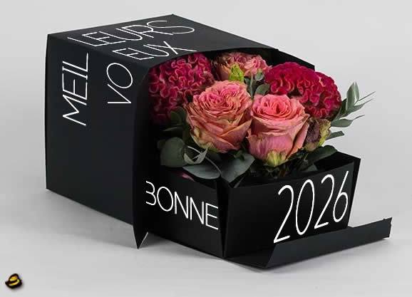 Image avec roses rouge pour les voeux de fin d'année romantiques