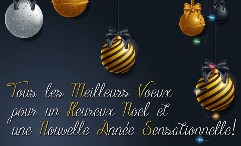 image Tous les Meilleurs Voeux pour un Heureux Noel et une Nouvelle Année Sensationnelle!