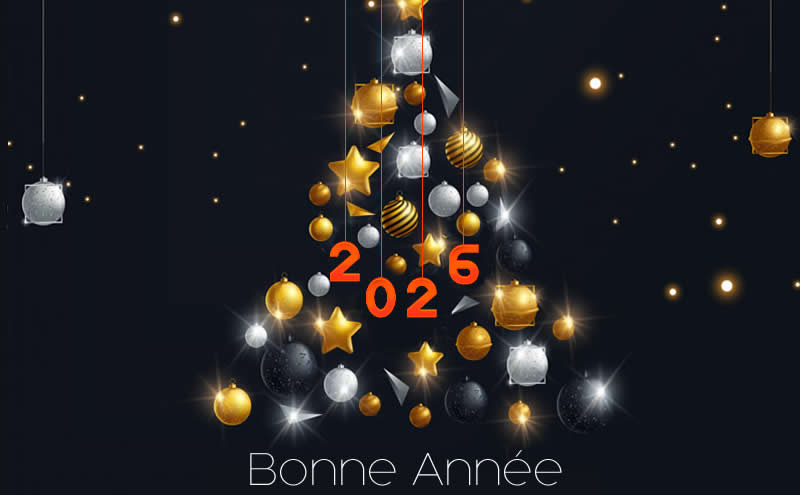 image avec sapin de Noël de style moderne avec des boules décoratives or, argent et noir et texte 2026