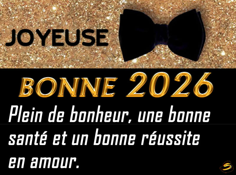 image carte voeux accueillir une nouvelle annèe 2027