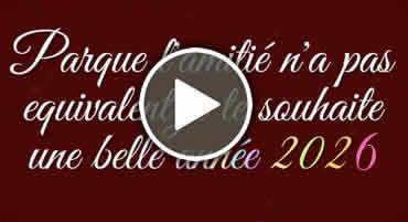 Vidéo Bonne Année  2027 originale –  Souhaits de bonheur à partager