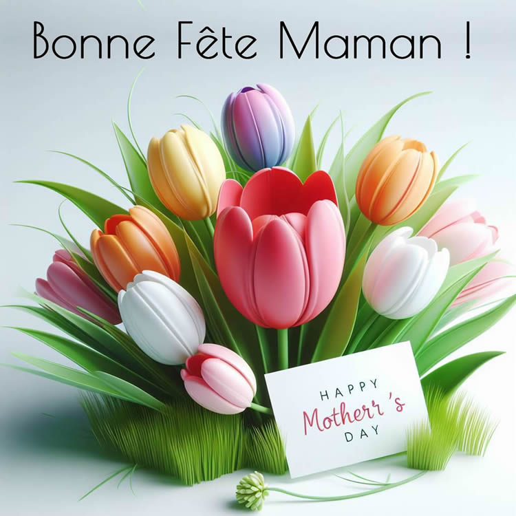 Image Bonne fête des mères avec des tulipes