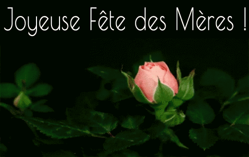 Image Bonne fête maman ! Gif animé avec une belle rose rouge, Joyeuse Fête des Mères !